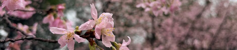 翌瑄｜浯島書寫計劃